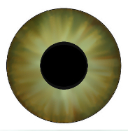 eyes (3)